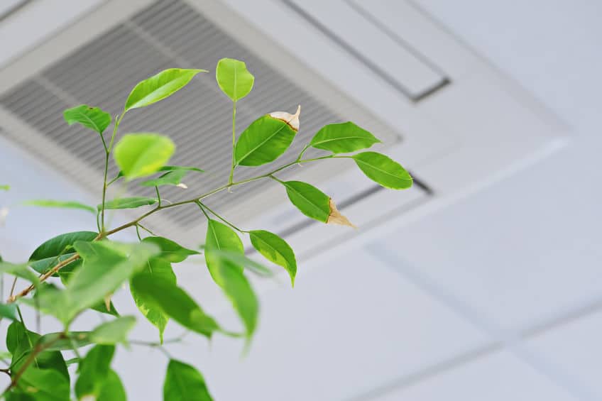Improving Your Home’s Air Quality